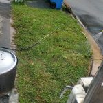 reno-handy-landscape-gardening-works-singapore-1