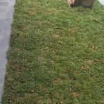 reno-handy-landscape-gardening-works-singapore