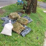reno-handy-landscape-gardening-works-singapore-2